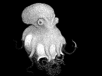 Desire_Mikko_Lyytinen