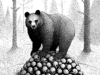 GoldenAppleoftheForest