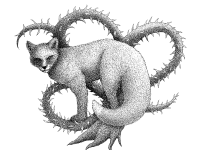 a_fools_game