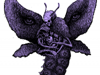 moth3