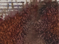worms